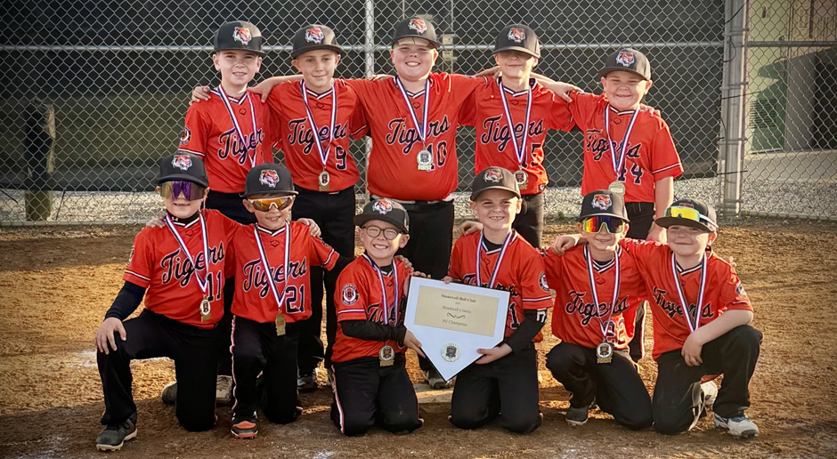 Support the Stonewall Ball Club!